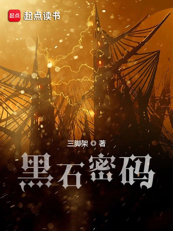 《黑石密码》精校版TXT全本小说下载
