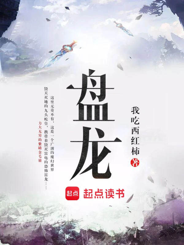 《盘龙》精校版TXT全本小说下载