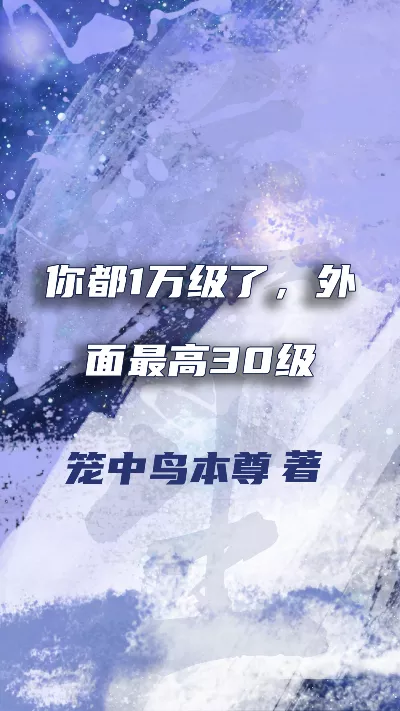 《你都1万级了，外面最高30级》作者：笼中鸟本尊