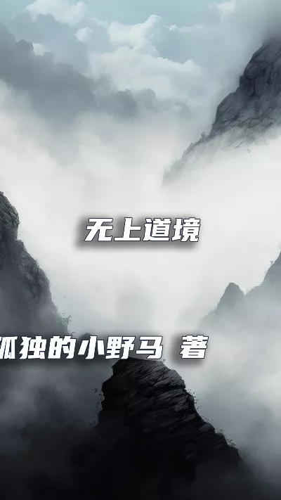 小说《无上道境》精校版.txt作者：孤独的小野马