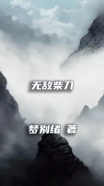 小说《无敌柴刀》精校版.txt作者：梦别绪
