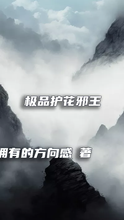 《极品护花邪王》作者：曾经拥有的方向感